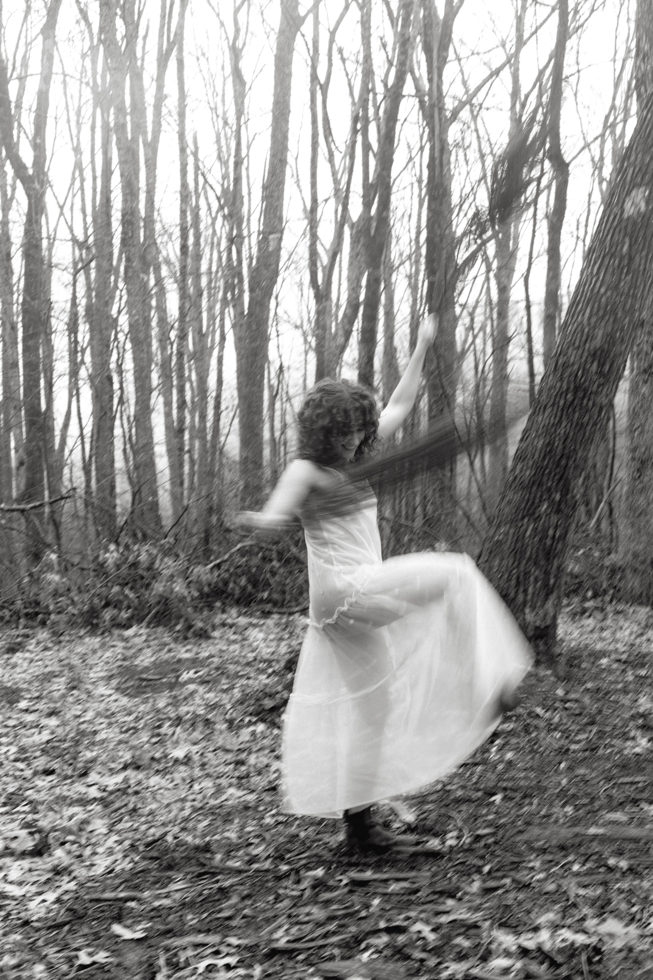 Movement in the woods